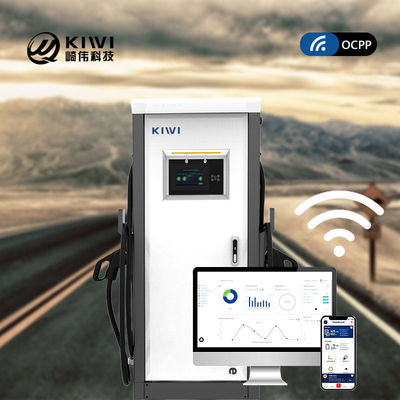 Napięcie wyjściowe prądu stałego 200V-1000V 60KW 120KW CCS2 Chademo Typ2 EV
