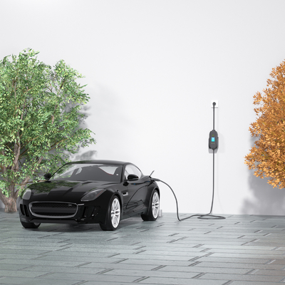 Ścianowy jednofazowy 3.5kw przenośny ładowarka elektryczna z wtyczką ładowania i wykrywaniem izolacji